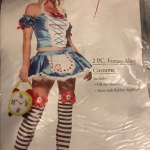 2 piece Alice in wonderland costume